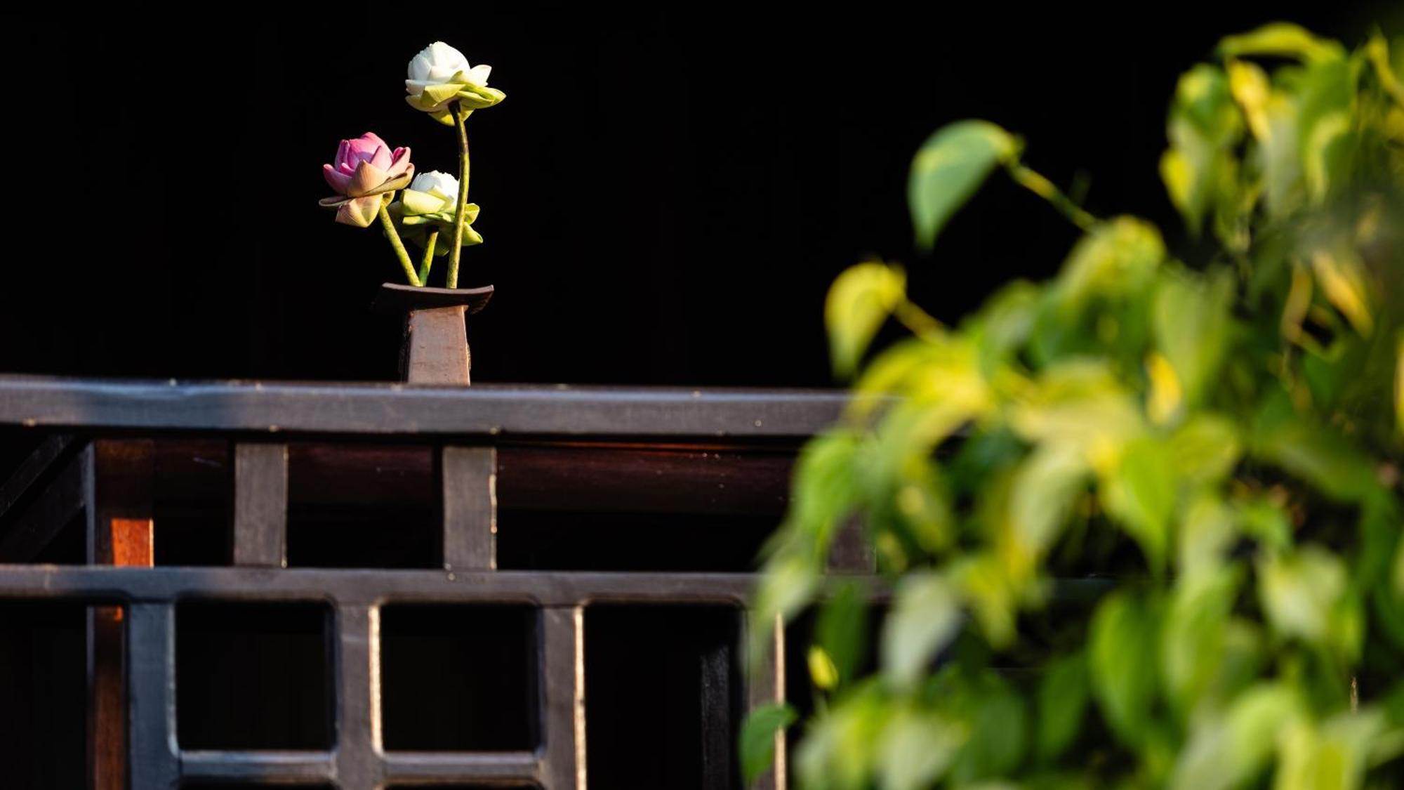 Lodge Khmer - Eco-lodge *